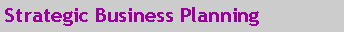 Text Box: Strategic Business Planning