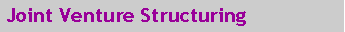 Text Box: Joint Venture Structuring