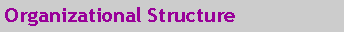 Text Box: Organizational Structure