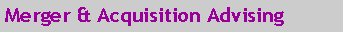 Text Box: Merger & Acquisition Advising