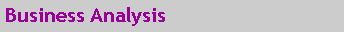 Text Box: Business Analysis
